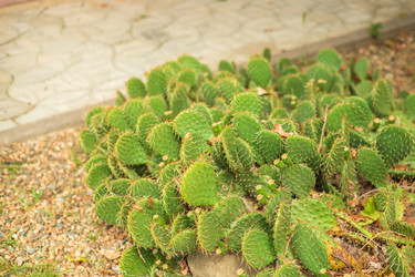 Similar image 22014596