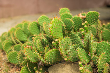 Similar image 22014597