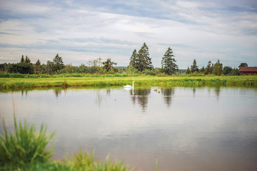 Similar image 22014598