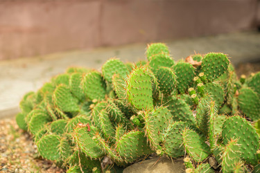 Similar image 22014599