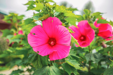 Similar image 22014600