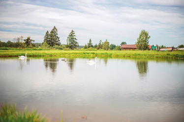 Similar image 22014601