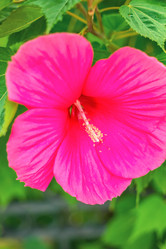 Similar image 22014602