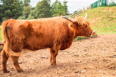 Similar image 22014604