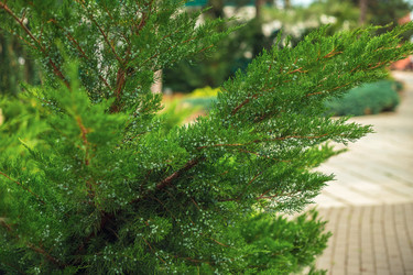 Similar image 22014605