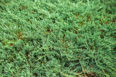 Similar image 22014606