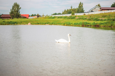 Similar image 22014607