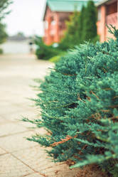 Similar image 22014608