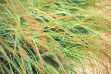 Similar image 22014609