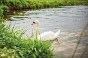 Similar image 22014610