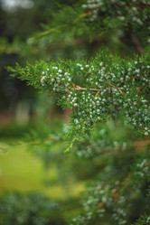 Similar image 22009547