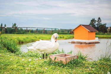 Similar image 22009548