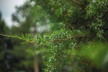 Similar image 22009549