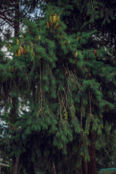 Similar image 22009550