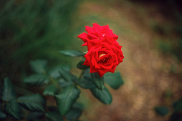 Similar image 22009552