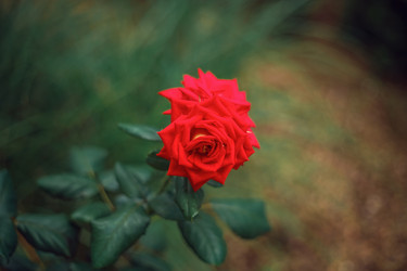 Similar image 22009553