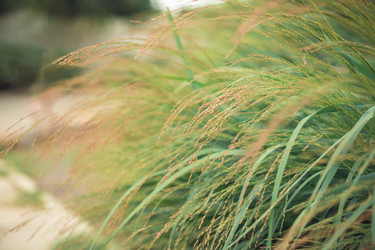 Similar image 22009555