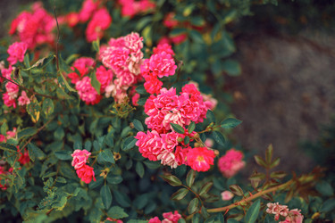 Similar image 22009556