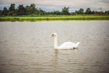 Similar image 22009557