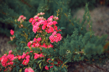 Similar image 22009558