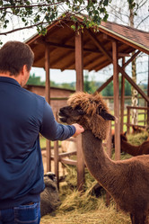 Similar image 22009559