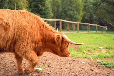 Similar image 22009560