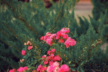 Similar image 22009561