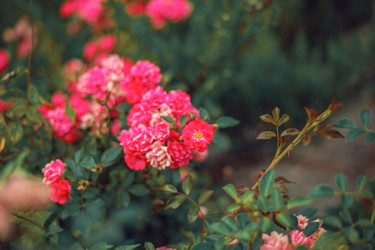 Similar image 22009562