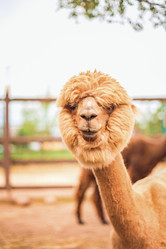 Similar image 22009563