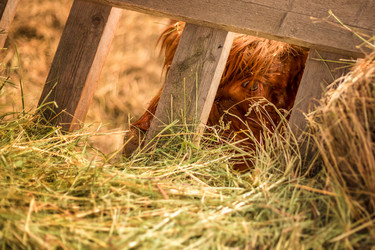 Similar image 22009564