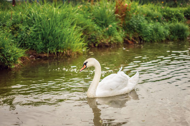 Similar image 22009566