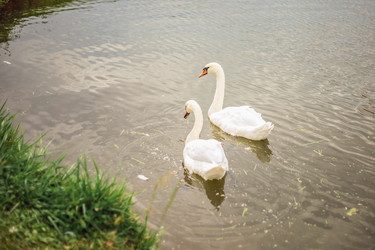 Similar image 22009568