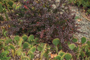 Similar image 22009569