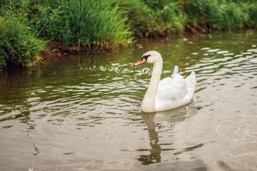 Similar image 22009570