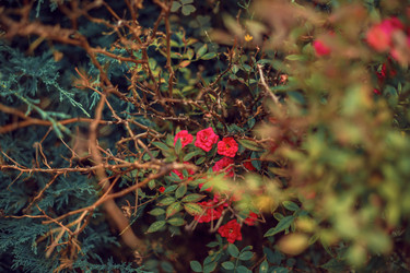 Similar image 22009571