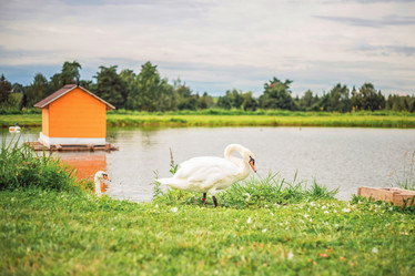 Similar image 22009572