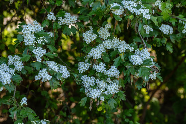 Similar image 22009573