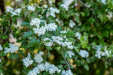 Similar image 22009575