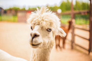 Similar image 22009576