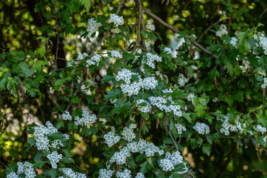 Similar image 22009577