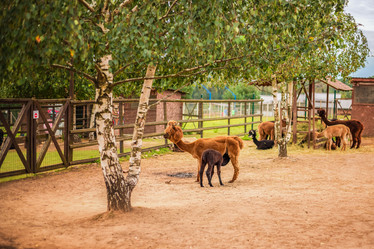 Similar image 22009586