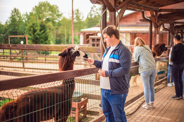 Similar image 22013597