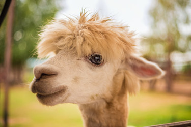 Similar image 22013598