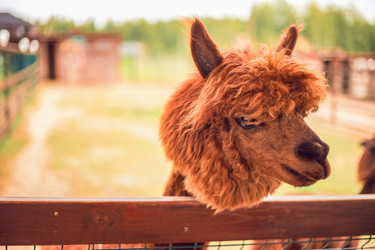 Similar image 22013599