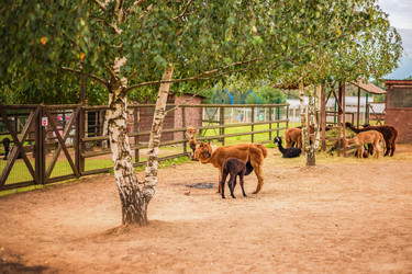 Similar image 22013600