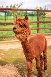 Similar image 22013601