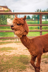 Similar image 22013603