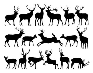 Similar image 22006740