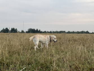 Similar image 22006675