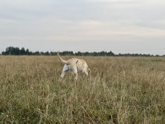 Similar image 22006676